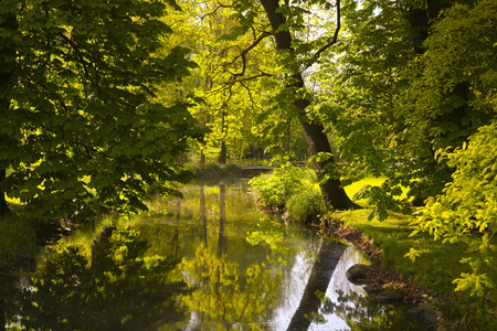 Spreewald erleben - Schloss Brandenburg - Kurzurlaub Spreewald - Schloss Lübbenau im Spreewald